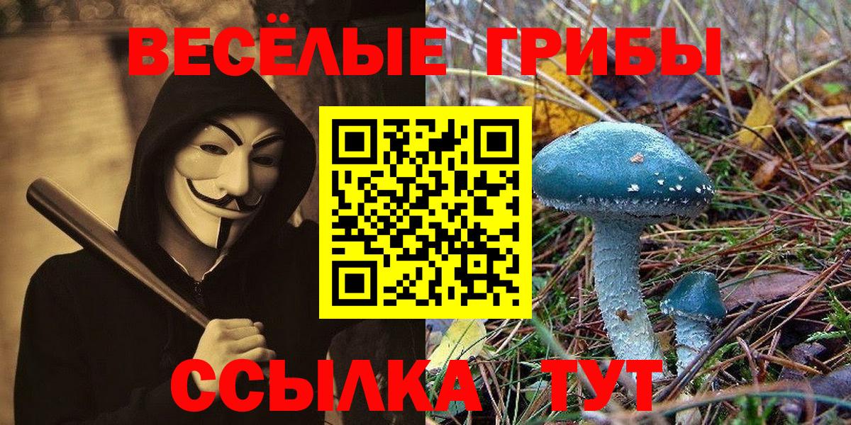 Галлюциногенные грибы GOLDEN TEACHER Подольск